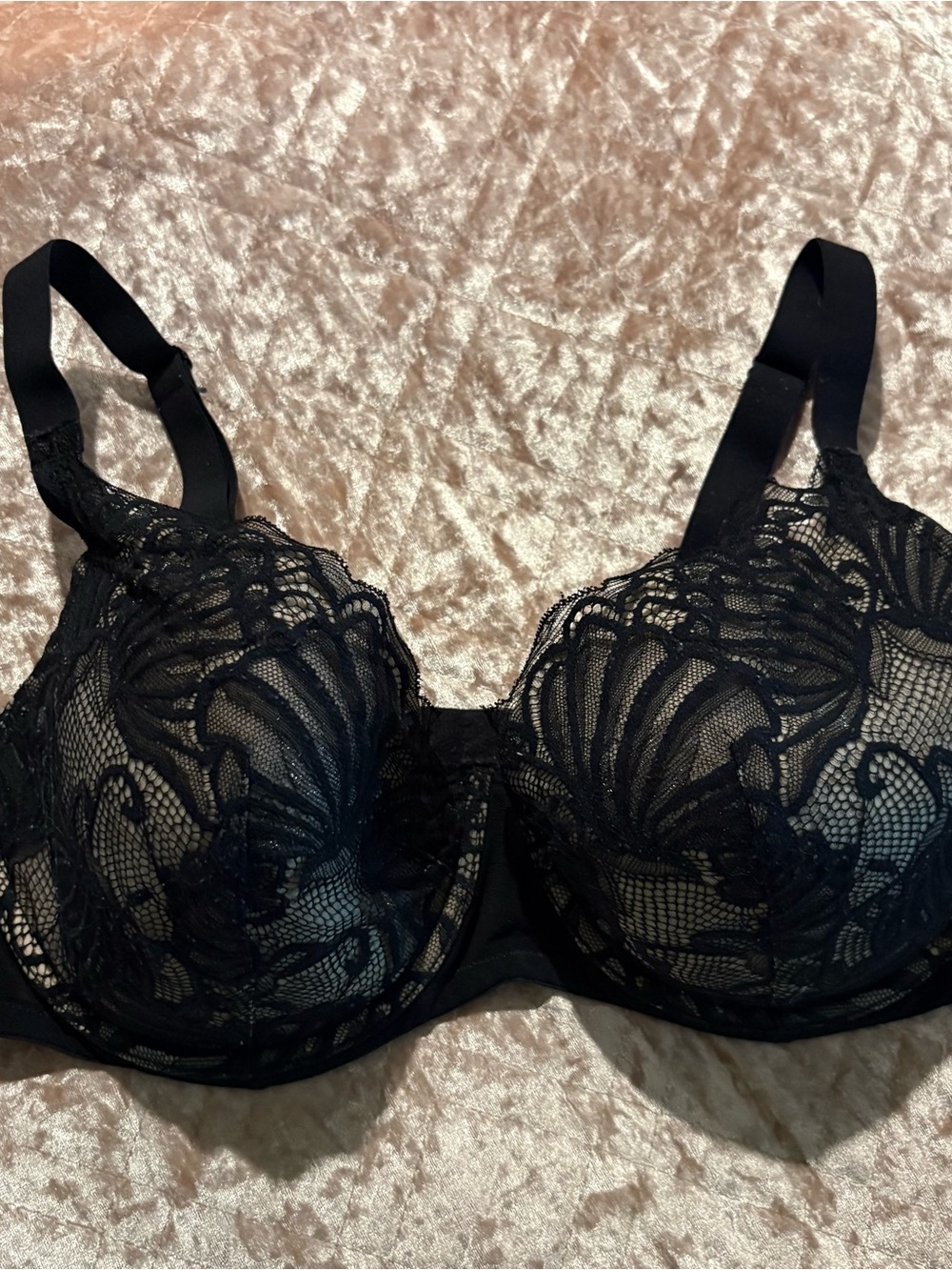 Paramour Black Lace Underwire Bra with Floral Embroidery